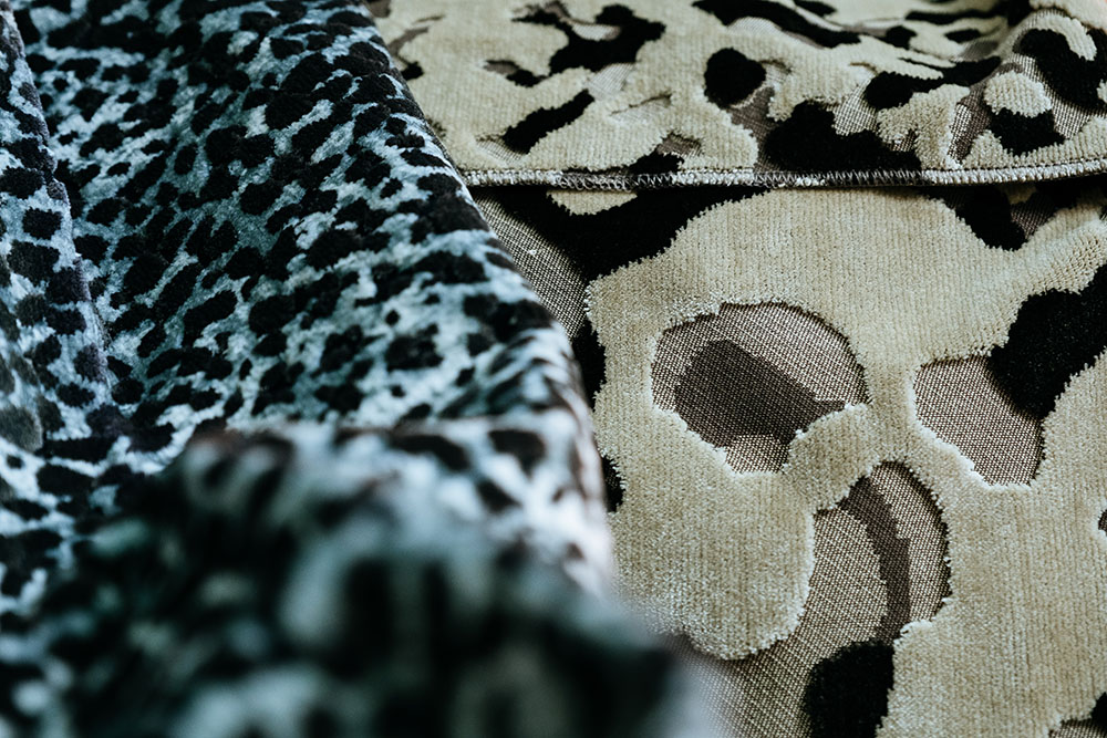CARPET_01